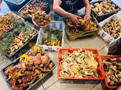 -菌山里·野生菌猪肚包鸡(阳光花园店)