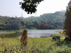 -佛灵湖水上乐园