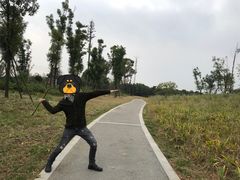 -白鹭湾湿地公园