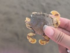 -南澳海滩