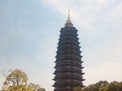 -听松楼-中餐厅.家宴(红梅公园店)