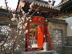 -迎泽公园
