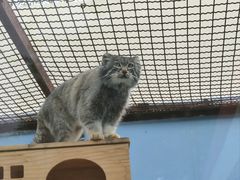 -青藏高原野生动物园