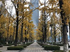 -百林公园-两江幸福广场