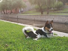 -元大都城垣遗址公园