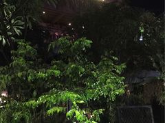 -胡桃里音乐酒馆(星湖北一里店)