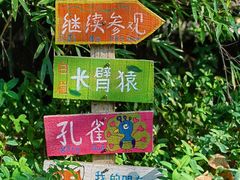-红山森林动物园