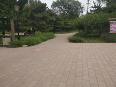 -玲珑塔公园