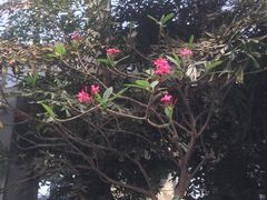 环境-龙达温泉生态城