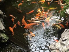 -白天鹅宾馆·流浮阁咖啡厅
