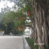 下沙公园