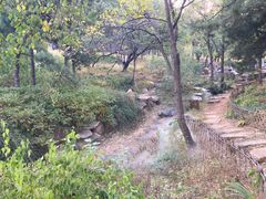 -北京西山国家森林公园