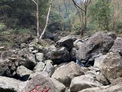 -宁波五龙潭景区