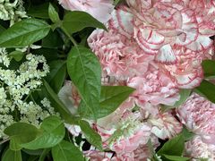 -婷意花宇TheGracesFloral(北外滩店)