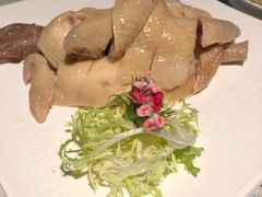 -T館·花园艺术餐厅