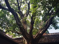 -白帝城·瞿塘峡景区