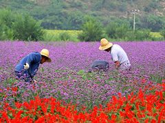 -百里山水画廊