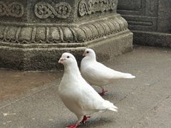 -音乐台