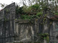 -南山植物园
