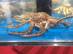 -越洋肖氏老米线(杨家坪店)