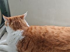 -小时光咖啡馆(北锣鼓巷店)