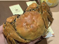 -秦皇国际大酒店·自助餐