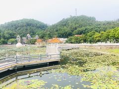 -红山村