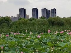 -太阳宫公园