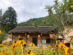 -黑河国家森林公园
