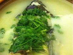 iphone_upload_pic-千岛湖品鱼馆(钓鱼岛店)