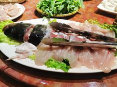 -香樟活鱼馆(渝北店)