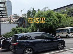 -树厨贵州菜(大十字店)