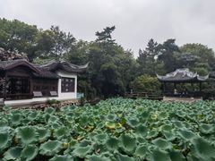 -无锡蠡湖国家湿地公园-蠡园