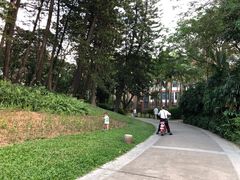 -四海公园(南山区)