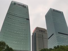 -重庆市江北嘴中央商务区中央公园