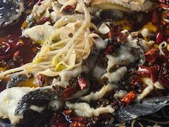 -金三可市井水煮鱼(金碧园店)