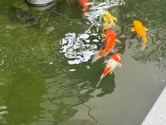 -漫笙舍Manse·咖啡·民宿