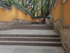 -普陀山风景名胜区-法雨禅寺