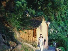 -杨家堂村