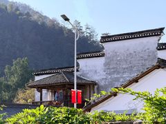 -芦茨金富饭庄·25年老字号·专做稻草鸡