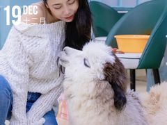 -安格丽娜·狗咖·猫咖羊驼咖(春熙路百盛商场店)