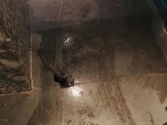 -上海天禧嘉福璞缇酒店