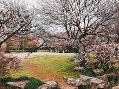 -杭州植物园