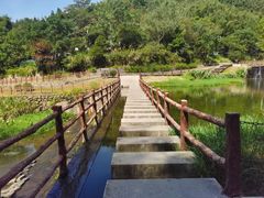 -梅岭月亮湾山体公园