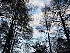 -午潮山国家森林公园