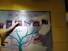 -上海昆虫博物馆