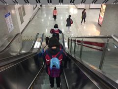 -上海游泳馆(地铁站)