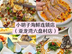 -亚龙湾热带天堂森林公园