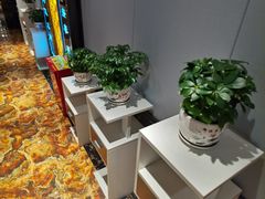 -康喜足疗·轻奢SPA综合馆(恺宸店)