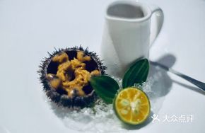 Ten-Year Purple Sea Urchin